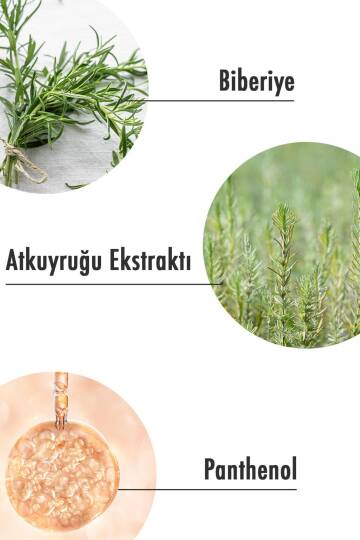 Maruderm Biberiye Saç Bakım Toniği 200 ml - 3