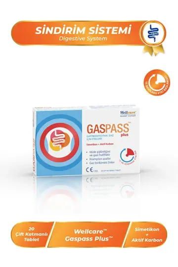 Wellcare Gaspass Plus 20 Tablet